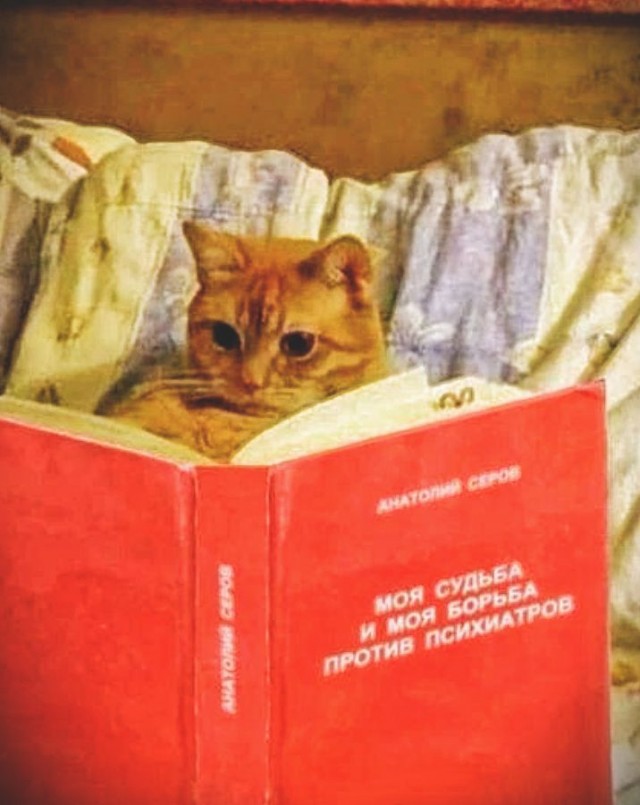 Деградильня