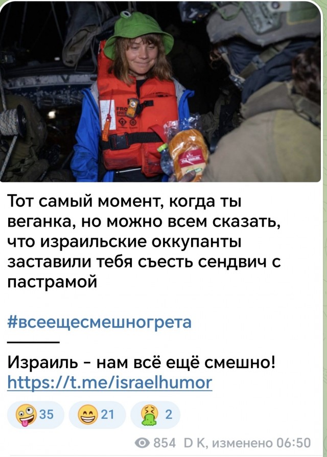 Грета Тунберг сообщила, что была похищена «израильскими оккупационными силами» в международных водах