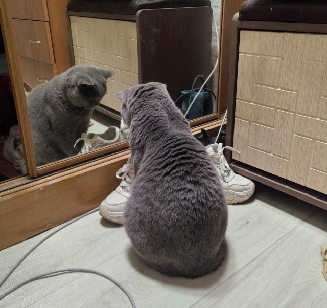 Быть или не быть? Или уже было, но мало?