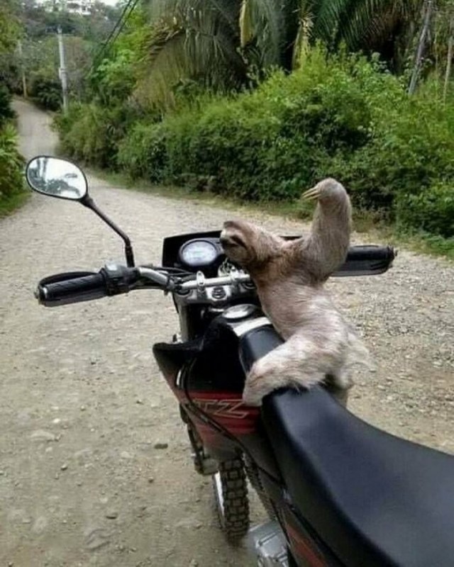 Прикольные и просто красивые картинки 18.07.2025