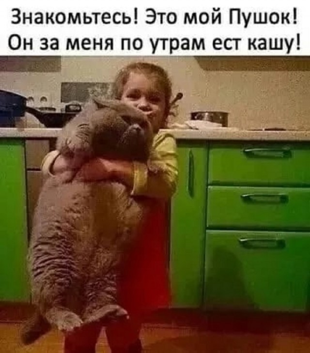 Так себе картинки 13.08.25