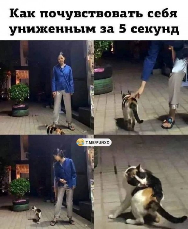 Картинки для деградации 22 ( разной степени свежести)