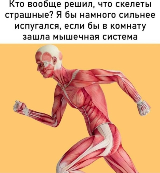 Весёлый полтишок 08.09.25