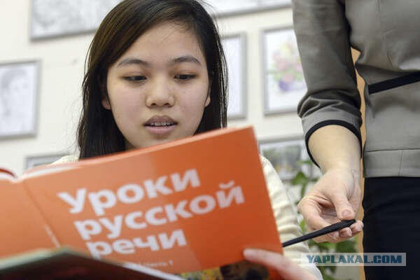 «Что они вообще здесь делают»: депутат Госдумы — о детях мигрантов