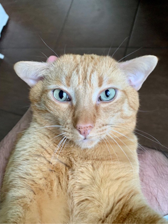 Ну и как такую ругать?