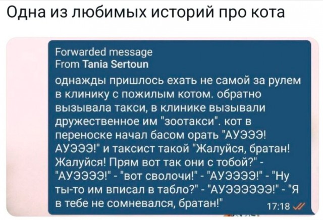 Картиночки, баянчики 12 января