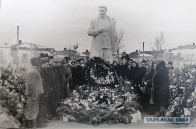 Гвоздики товарищу Сталину