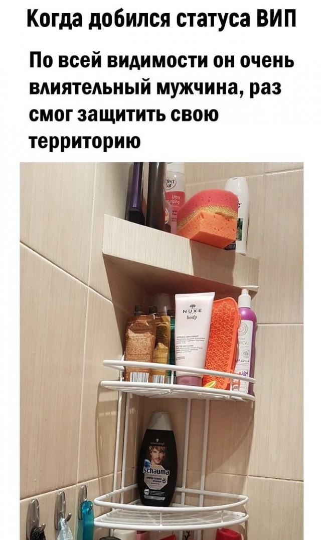 Веселое настроение а картинках (18.03.2026)