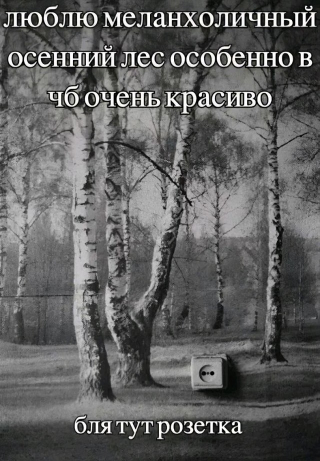 47 начальников внаглую маринуют шалык!
