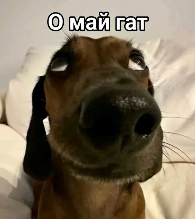 Доброго утра