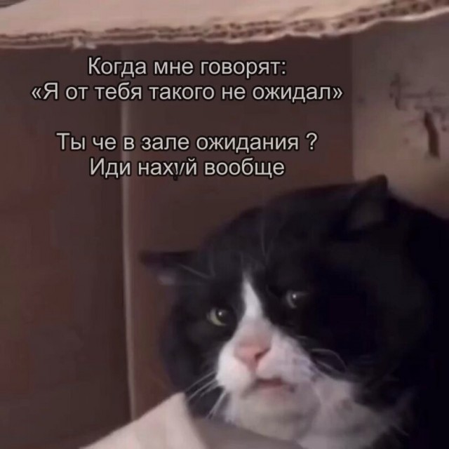Картинки. Баяны и аккордеоны