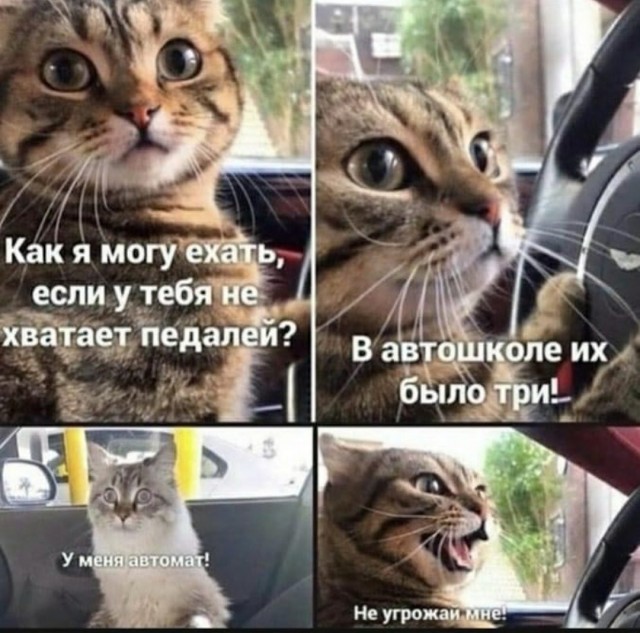 Хорошая штука для праворулек