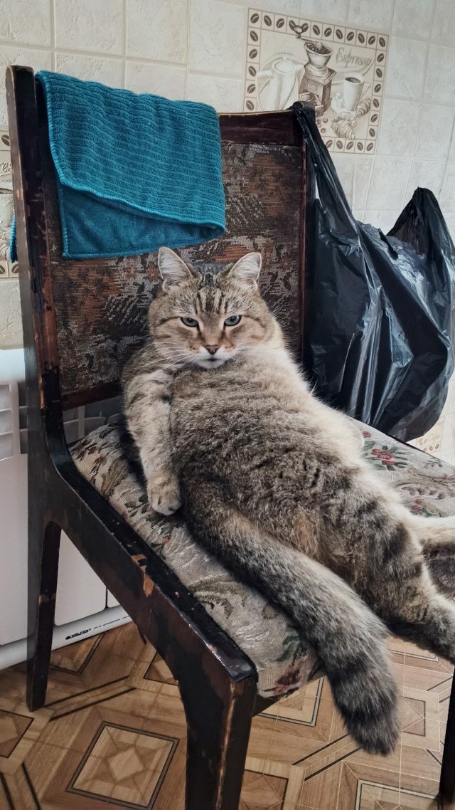 Я видел все.
