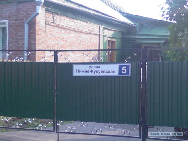 Жизнь вокруг меня