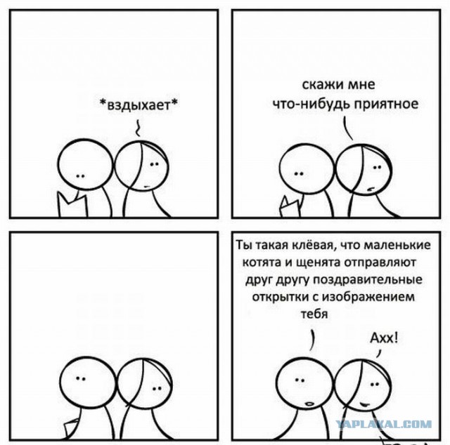 Весёлое из сети