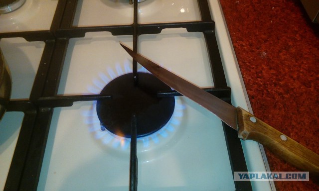 Весенний рукожоп