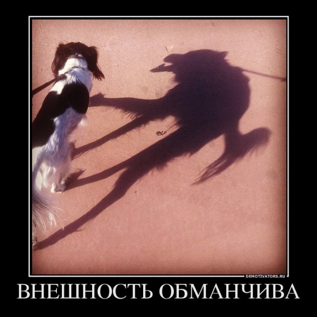 Вы хотите "демов"? часть 2-я