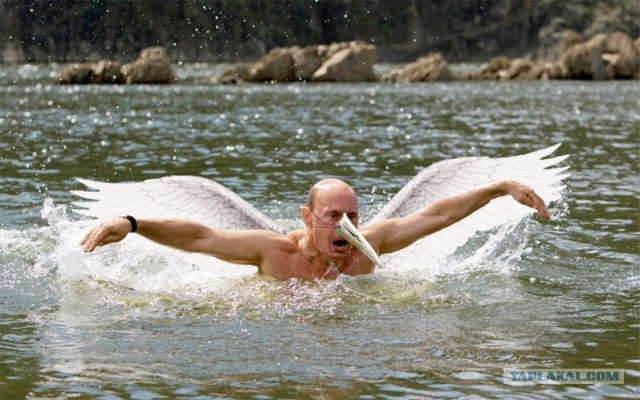 Путин с клювом в халате возглавил журавлиный клин