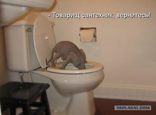 В.Авагян: украинцам, новогоднее...
