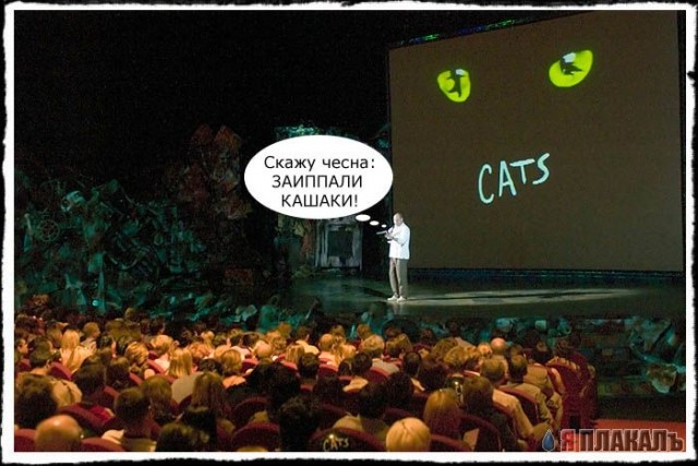 Коты, кошки, котята