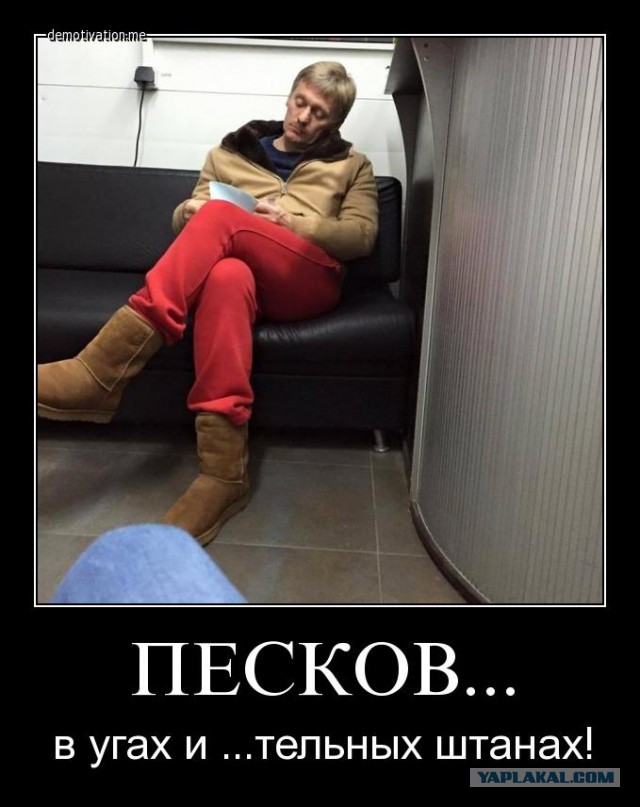 Штаны Пескова