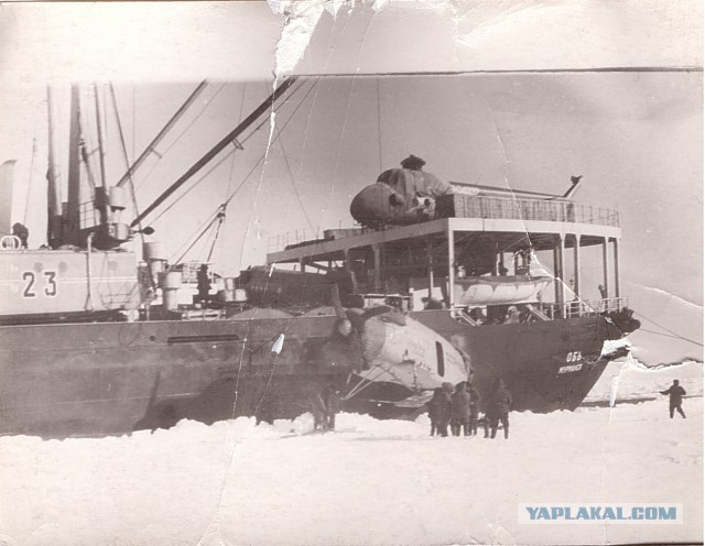 Харьковчанка