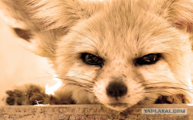 Подборка интересных и веселых картинок