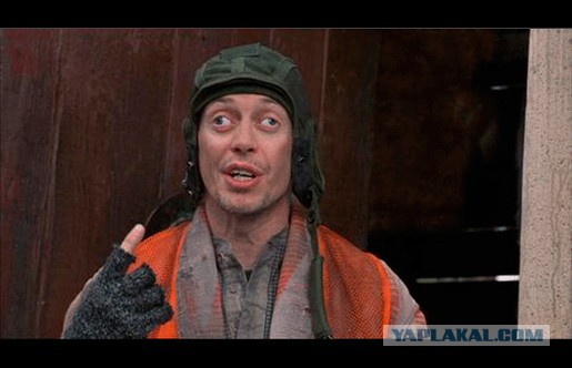 Котенок Альф стал частью персонала в ветеринарной клинике!