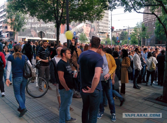 Митинг против правительства в Белграде