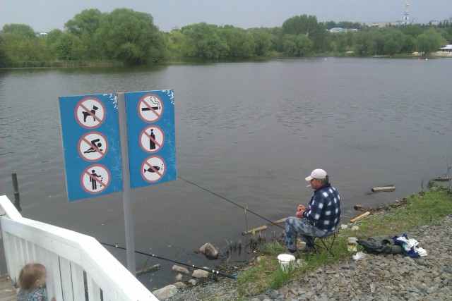 Подборка интересных и прикольных фото