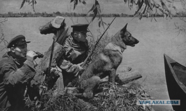 День начала Великой Отечественной войны, 22 июня 1941
