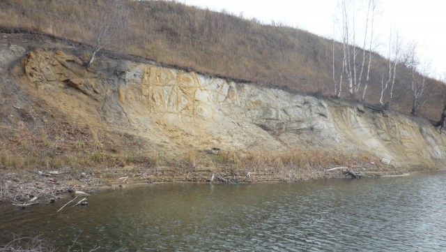 Березовая аномалия в Кузбассе