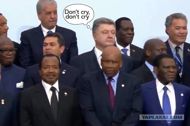 Путин не поедет на сессию Генеральной Ассамблеи ООН