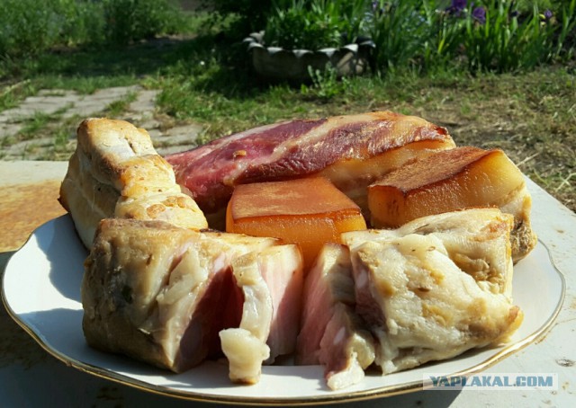 Сало в рассоле