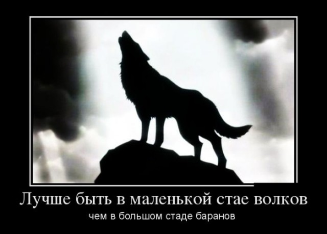 Приколюшки