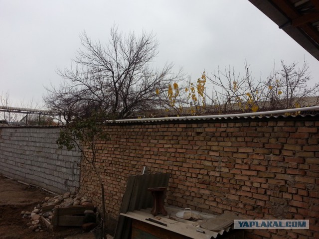 Свой дом в г. Ташкенте. Два года, не спеша.