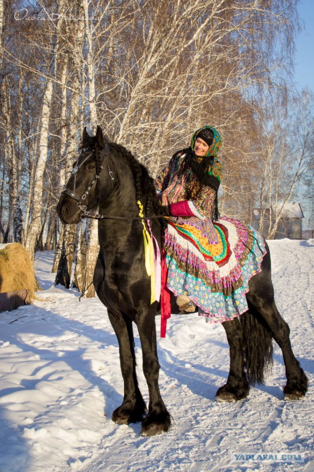 Осторожно, на лошадь не наступи!