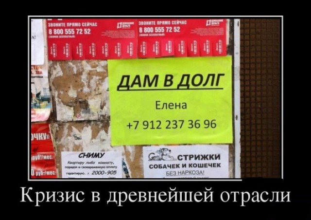 Подборка интересных и веселых картинок