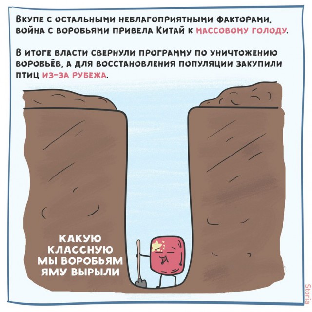 Как китайцы воробьями геноцид устроили, и к чему это привело