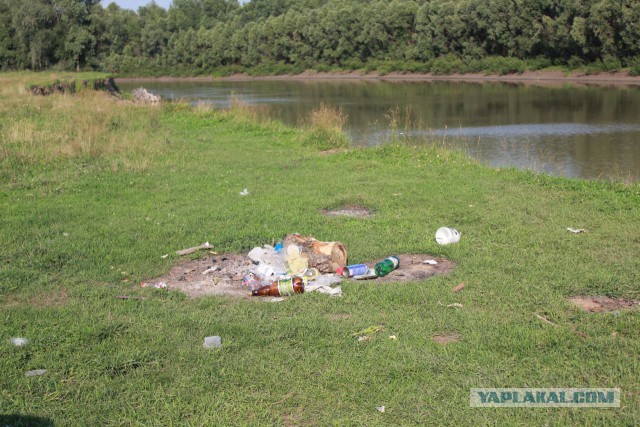 За день природу не спасти, но постараться ты обязан!