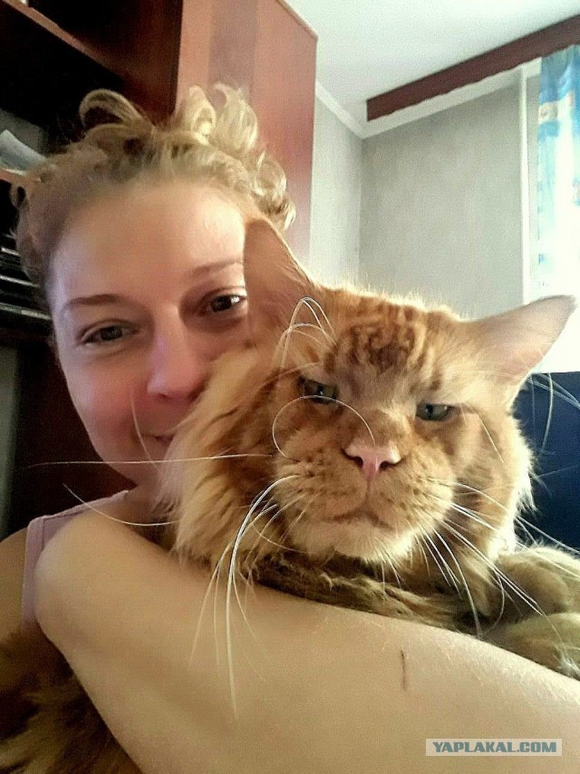 Джокер и его семья