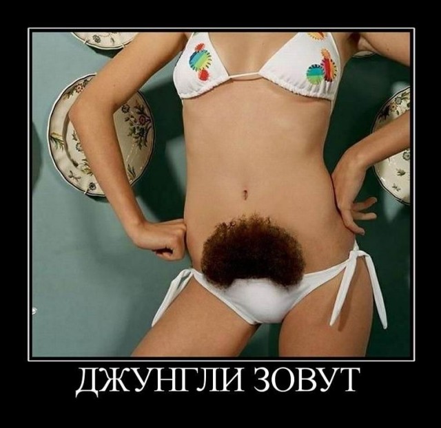 А моя бывшая сиськи себе скотчем приклеивала.