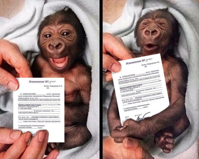 В Госдуме потребовали от Facebook восстановить аккаунты главы Чечни