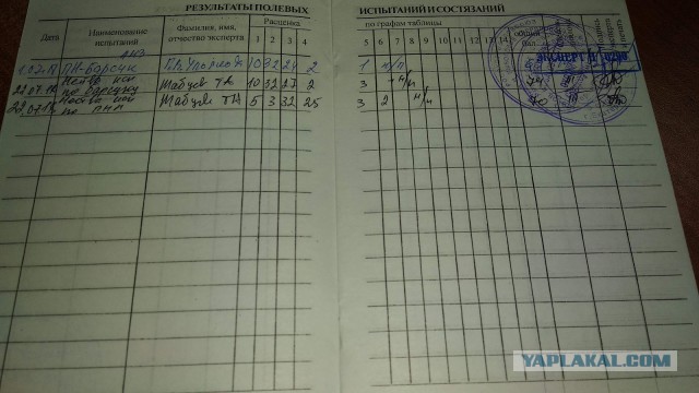 Их глаза... (собакочетвергу посвящяется)