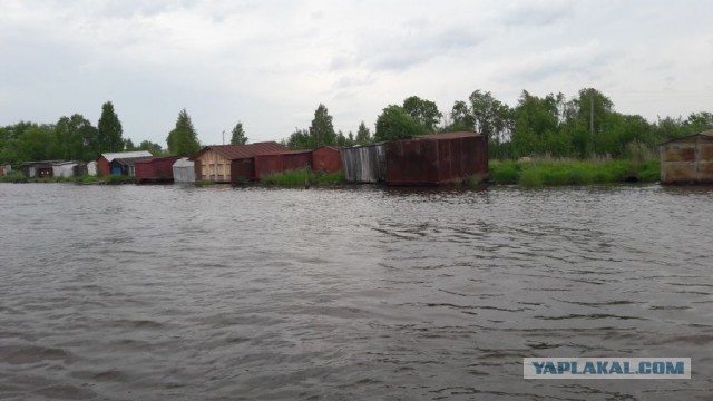 Прогулка на катерах Петербург-Москва.