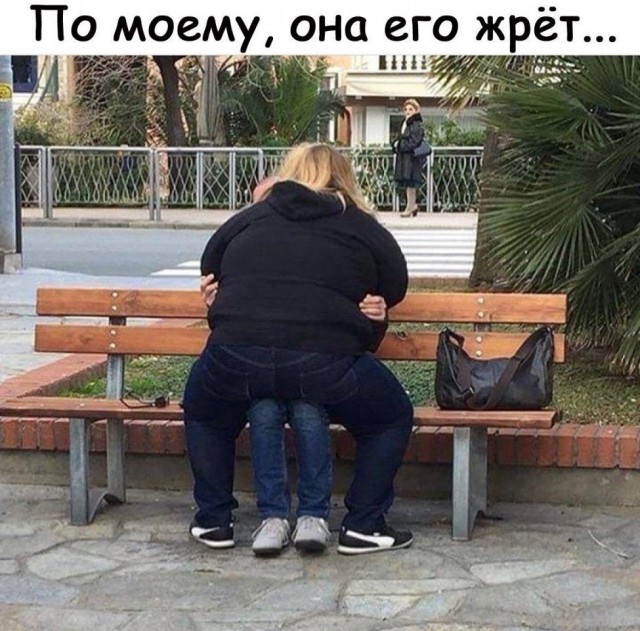 Лента прикольных картинок