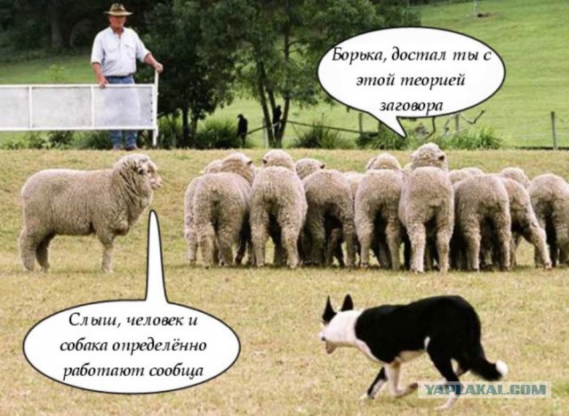 Китайский супертелескоп не нашёл на Луне следов американской экспедиции