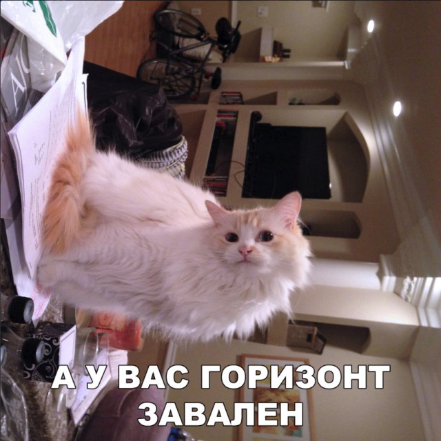 Нестандартный юмор
