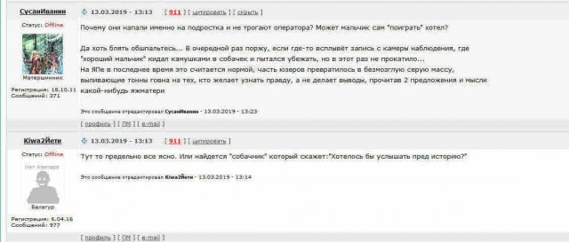 В Якутске на подростка напали два алабая. Он спасался на трансформаторном столбе