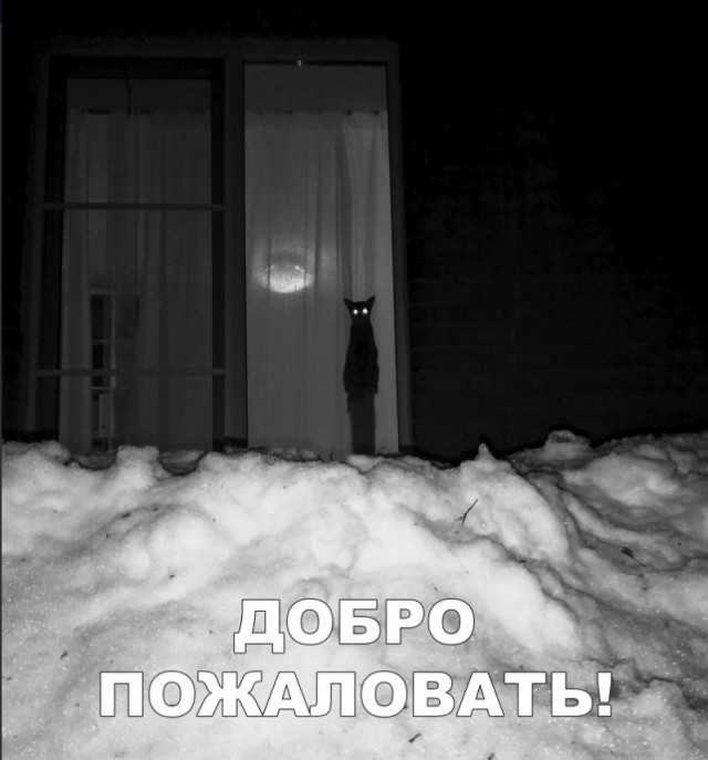 Нестандартный юмор